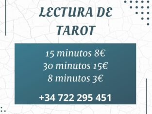 lectura de tarot 15 minutos 8€