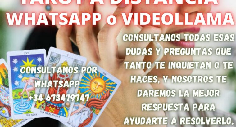 Tarot a distancia