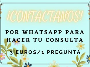 Gabinete Whatsapp