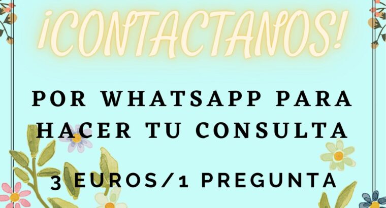 Gabinete Whatsapp